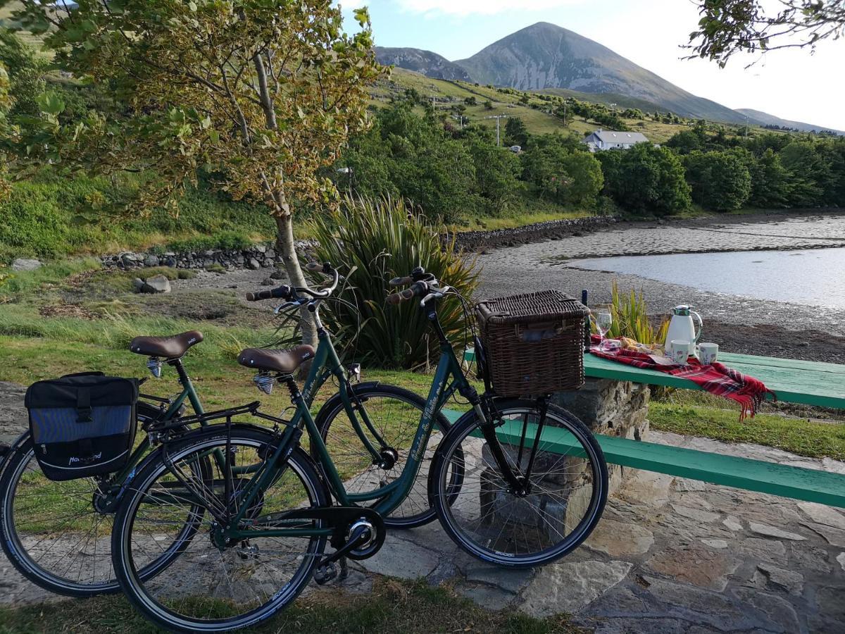 Nellys Bed And Bikes 호텔 웨스트포트 외부 사진